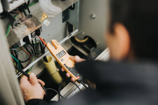 Best Electric Panel Repair  in Delano, MN