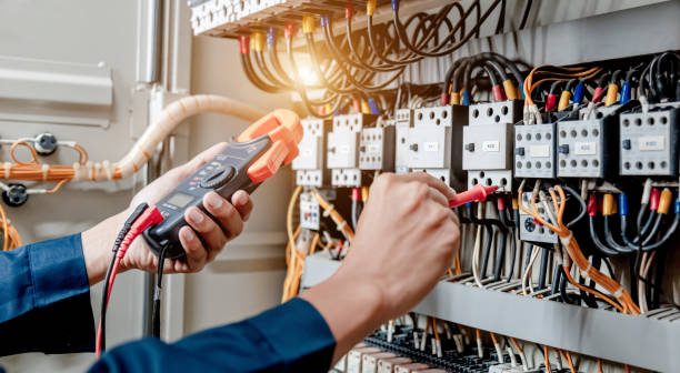 Best Electrical System Inspection  in Delano, MN