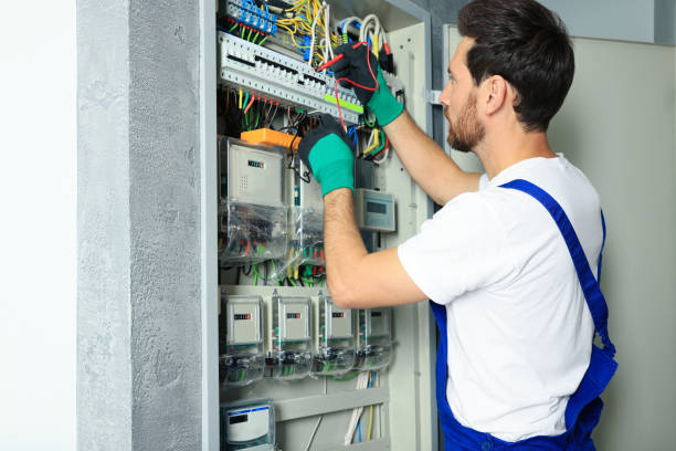 Best Electrical Rewiring Services  in Delano, MN