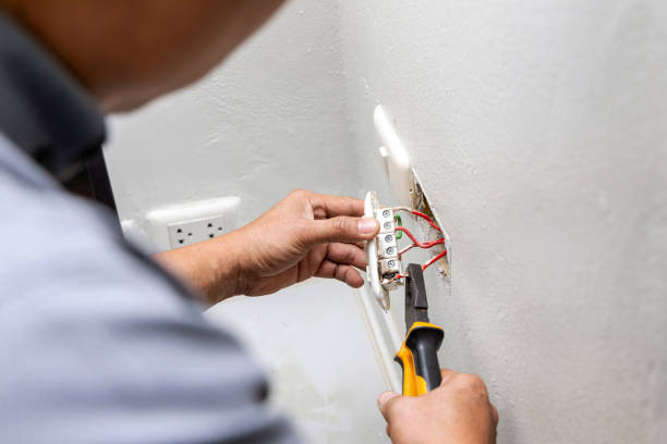 Best Affordable Electrician  in Delano, MN