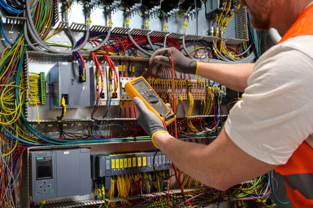 Best Home Electrical Repair  in Delano, MN