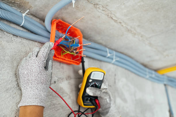 Best Ceiling Fan Installation Electrician  in Delano, MN